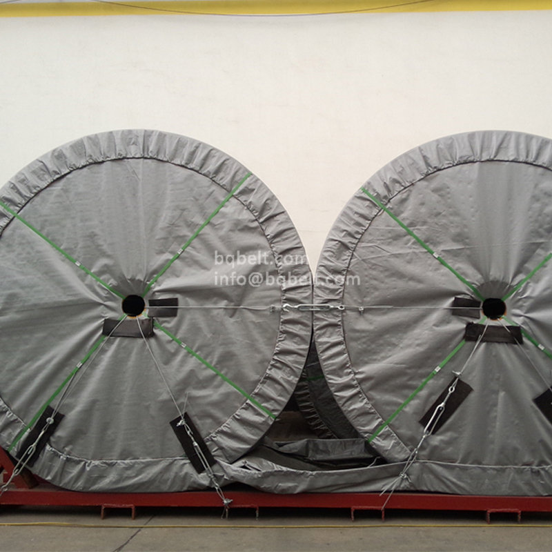 Acid and alkali resistant conveyor belt Acid and alkali resistant conveyor belt